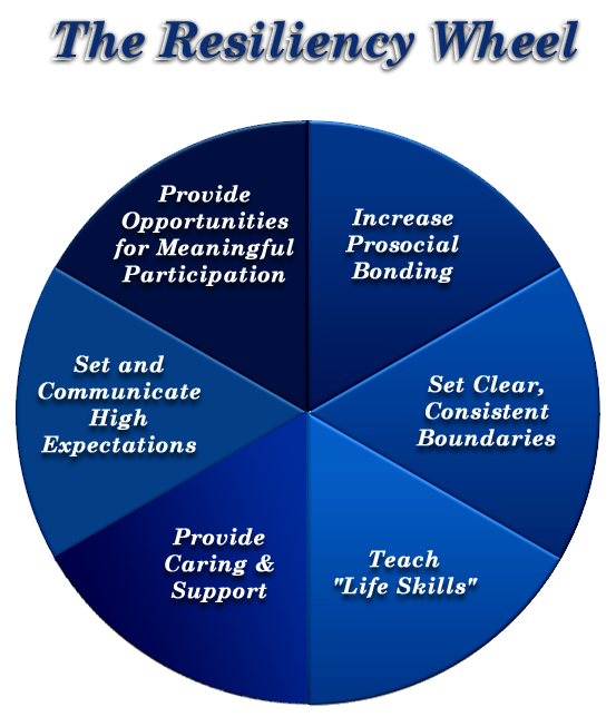 prevention resiliency wheel