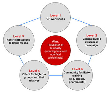 Graphic showing Levels 1 through 5